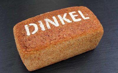 Das gesunde Korn: Dinkel und Dinkelvollkornbrot zum Selbermachen