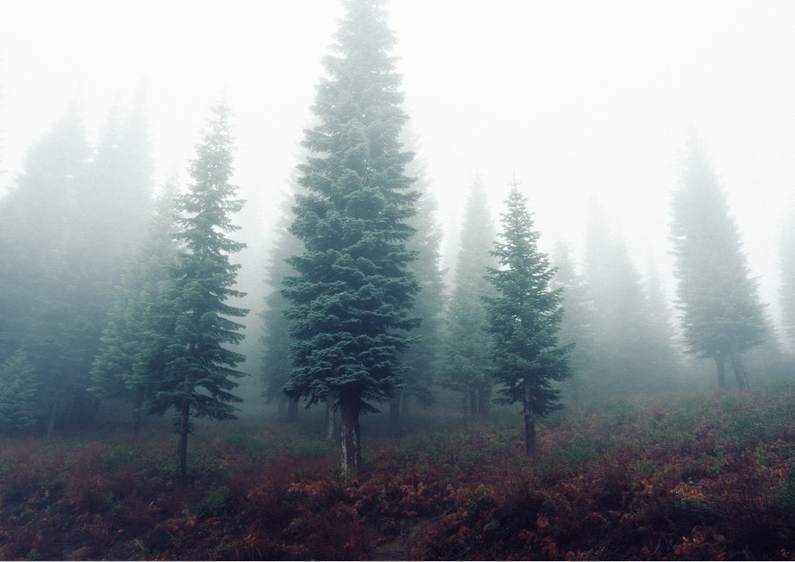 Regional & saisonal essen – so schmeckt der Herbst am besten