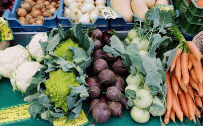 Ernährung im Winter: Gesunde Lebensmittel, die dich gesund halten